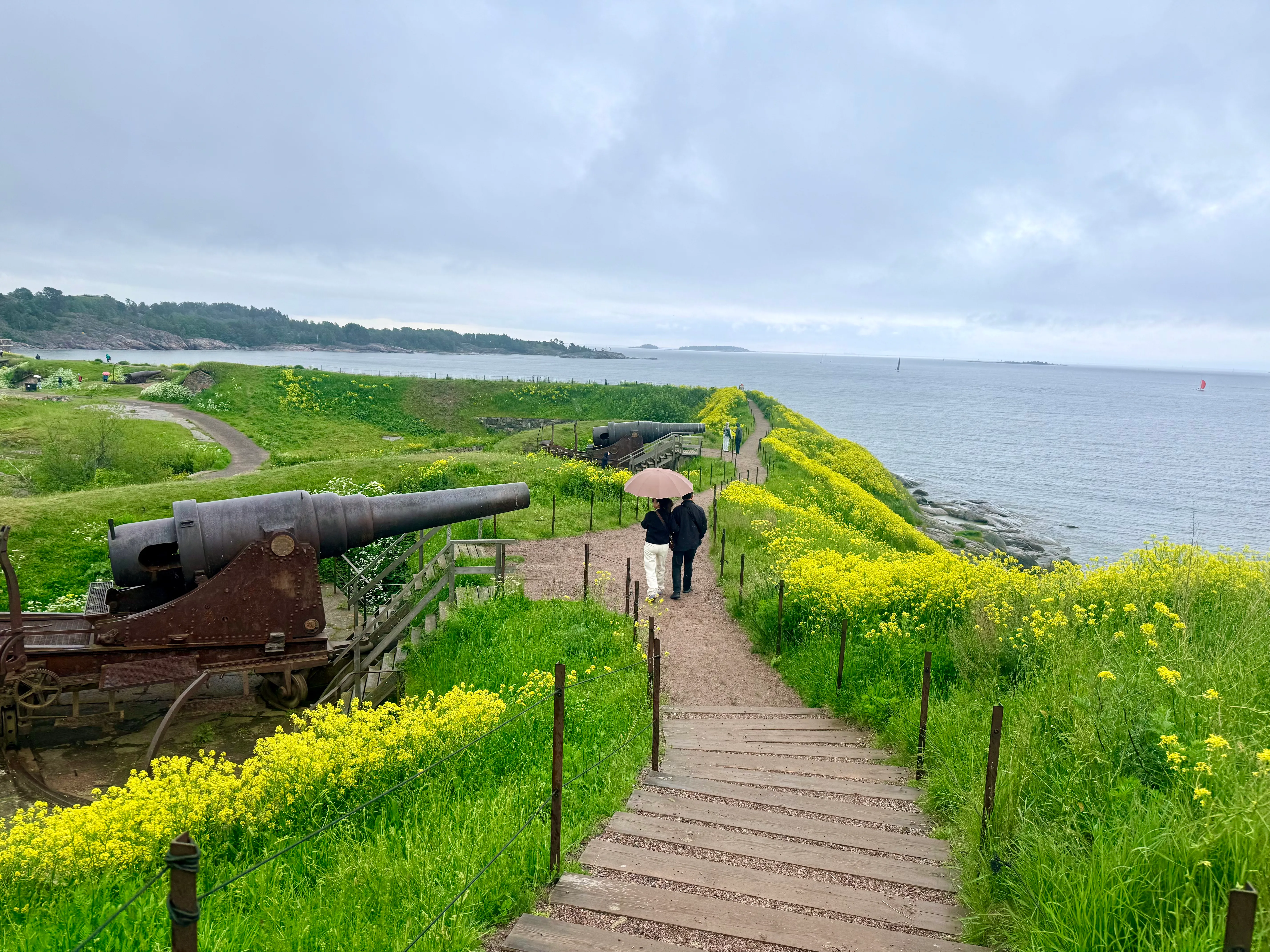 Suomenlinna sea fortress in summer, cannons and wildflowers